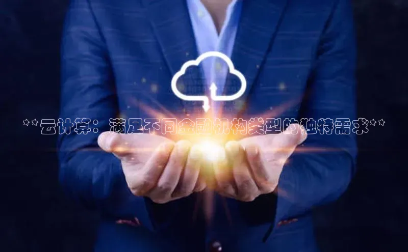 金年会电子游戏app华扬联众**云计算：满足不同金融机构类型的独特需求**