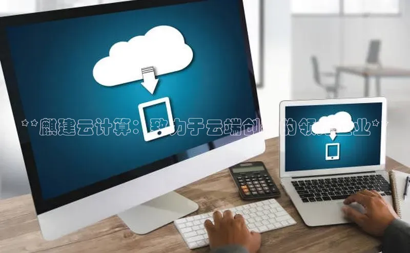 金年会官网登录入口滴滴出行**麒建云计算：致力于云端创新的领先企业**