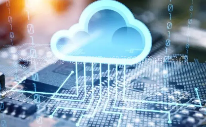 金字招牌诚信至上今年会百度学术**数字贵州：贵州联通云计算基地的变革力量
**