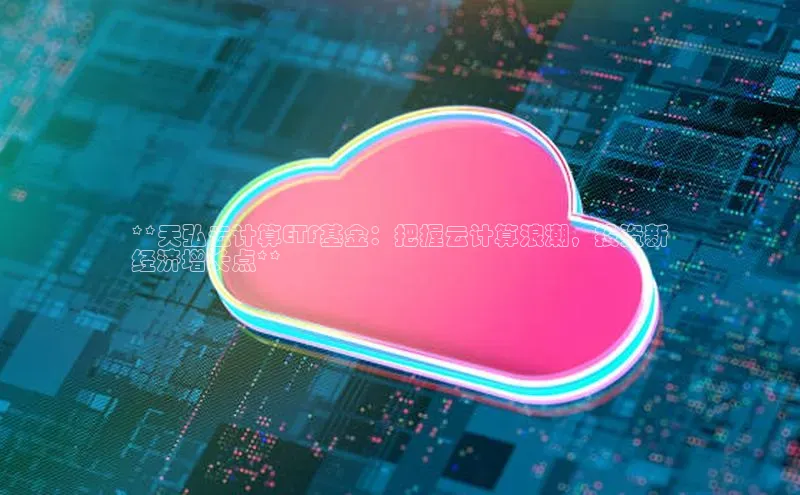 金年会·会官方入口登录彩讯股份**天弘云计算ETF基金：把握云计算浪潮，投资新
经济增长点**