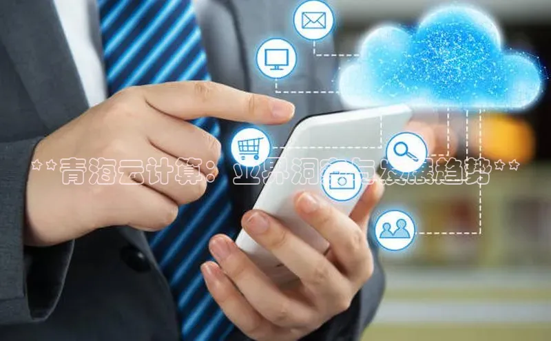 金年会电子游戏入口百度智能门户**青海云计算：业界洞察与发展趋势**