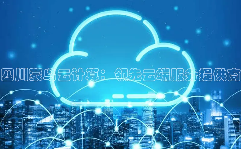 金年会体育百度集团四川蒙鸟云计算：领先云端服务提供商