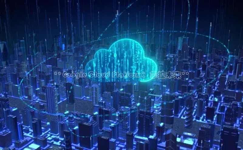 金年会电子游戏app百度大脑**Google Cloud Platform：掌控未来**