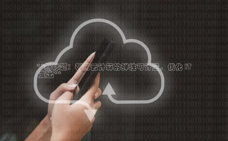 金年会金字招牌6766猫眼**新标题：利用云计算的弹性可计量，优化 IT
 支出**