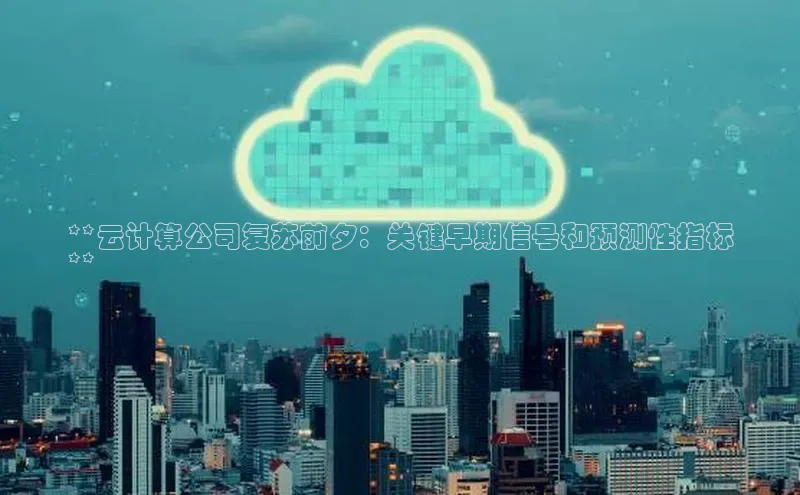 金年会哇咔哇咔文化**云计算公司复苏前夕：关键早期信号和预测性指标
**