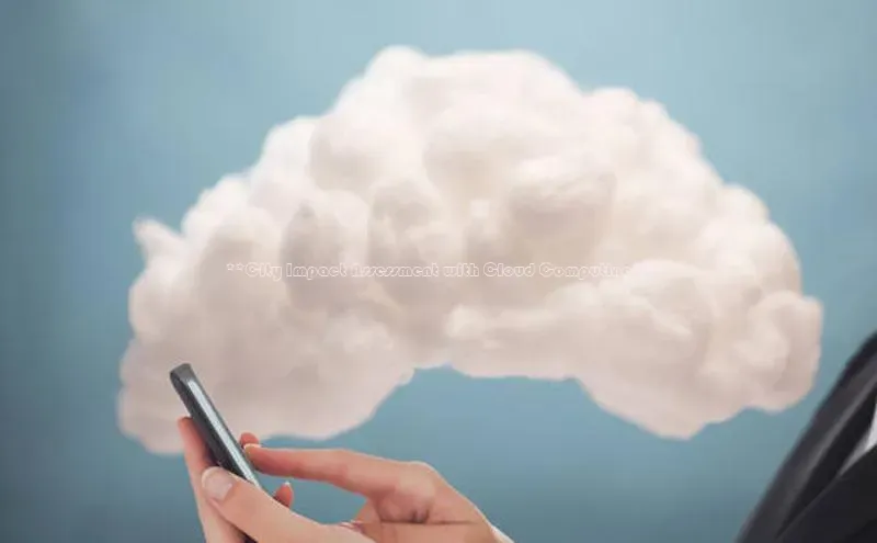 金年会金字招牌信誉至上登录网站百度营销中心**City Impact Assessment with Cloud Computing**