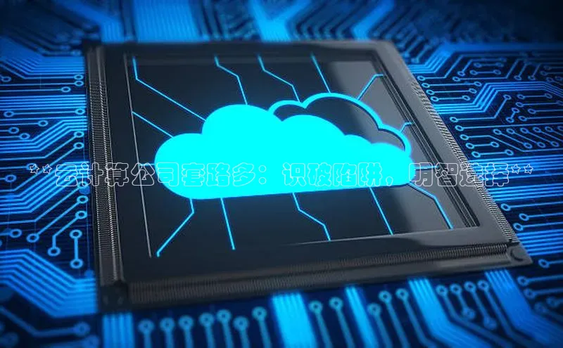 金年会电子游戏app官方百度人工翻译**云计算公司套路多：识破陷阱，明智选择**