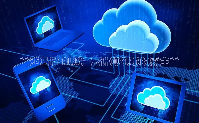 金年会金字招牌诚信至上龙年百度翻译App**亚马逊 AWS：云计算领域的霸主**