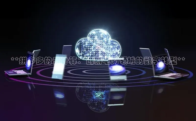 金年会电子游戏入口京东**拼多多的云计算：创新电商领域的数字转型**